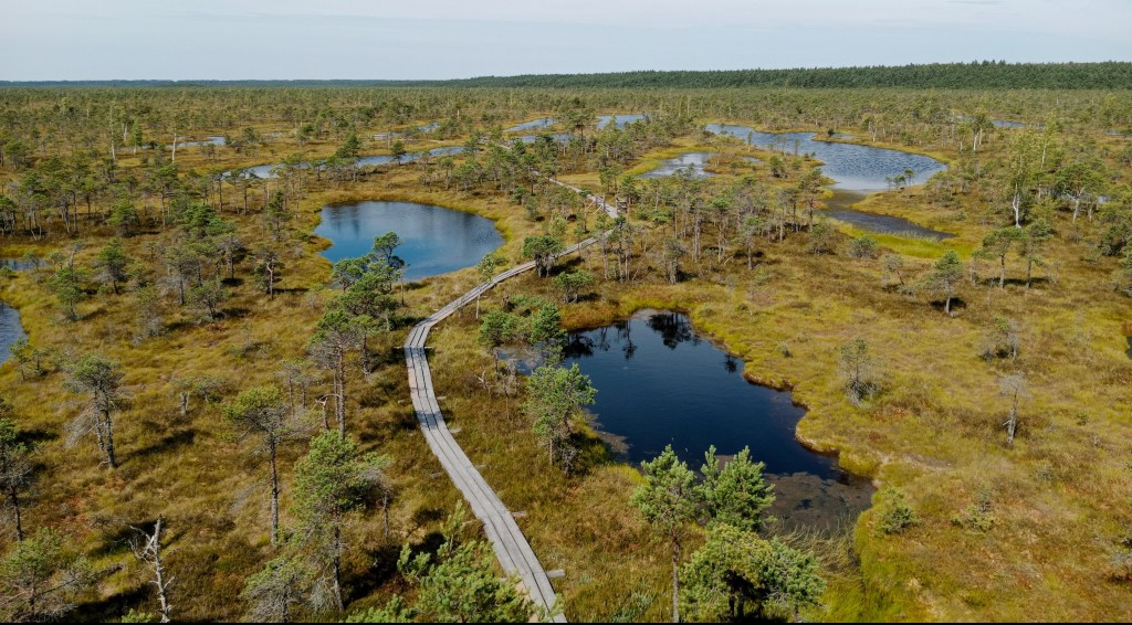Lettisches Moor im&nbsp;Ohr