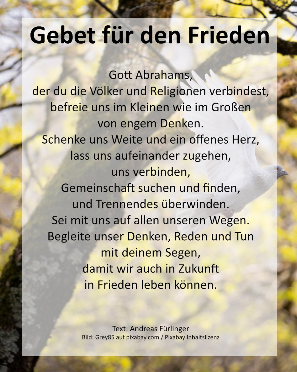 Einstehen für den&nbsp;Frieden